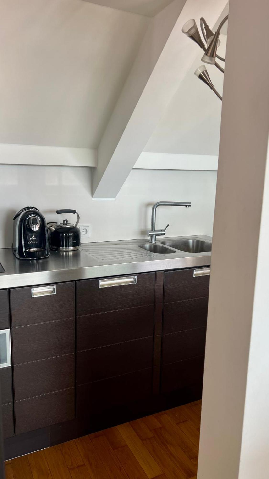 Apartment Se Saunou A Terasou S Vyhledem Na Brno