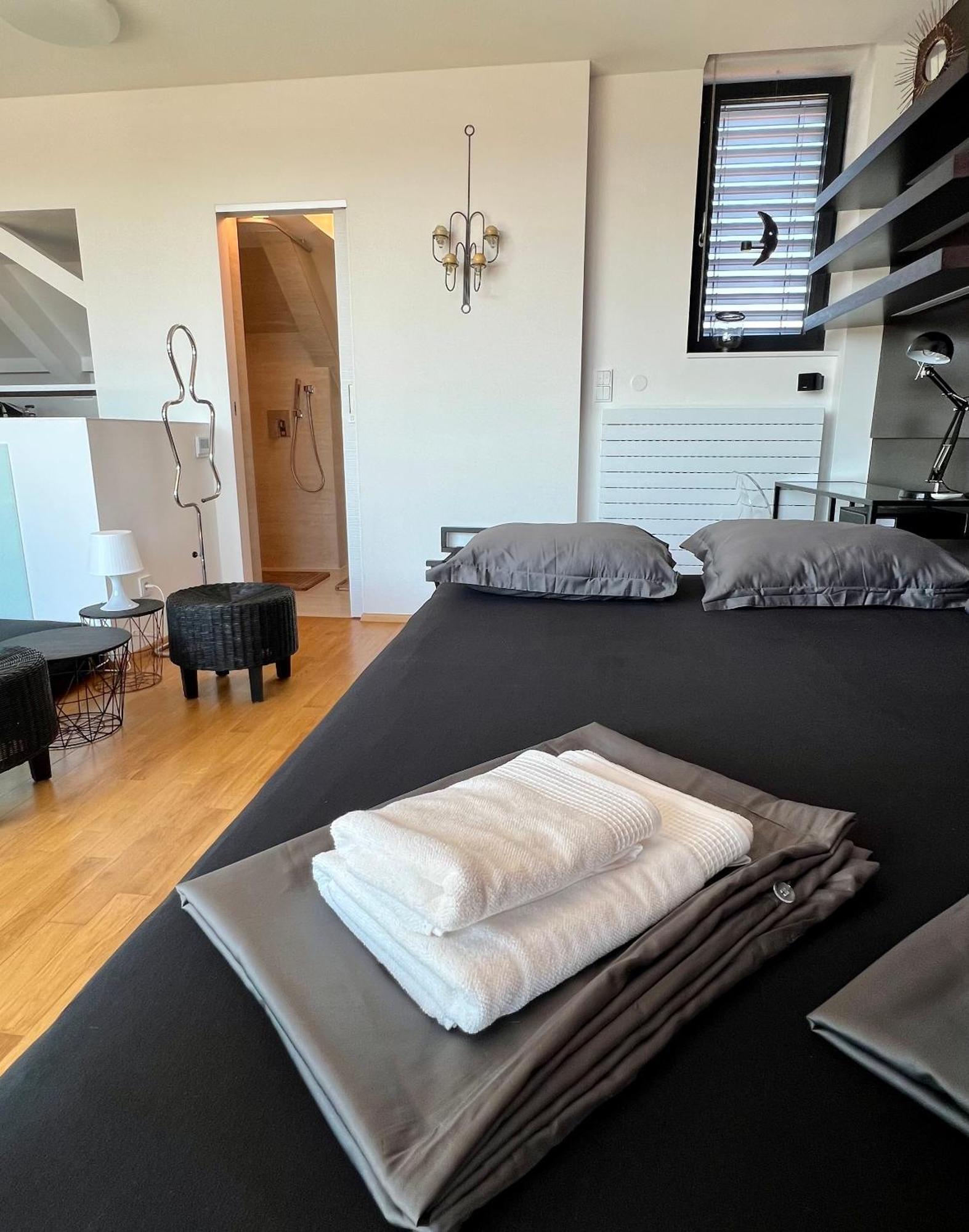 Se Saunou A Terasou S Vyhledem Na Apartment *