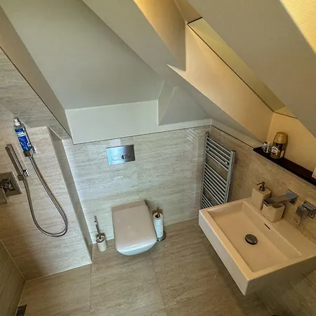 Apartman Se Saunou A Terasou S Vyhledem Na Brno Zewnętrze zdjęcie