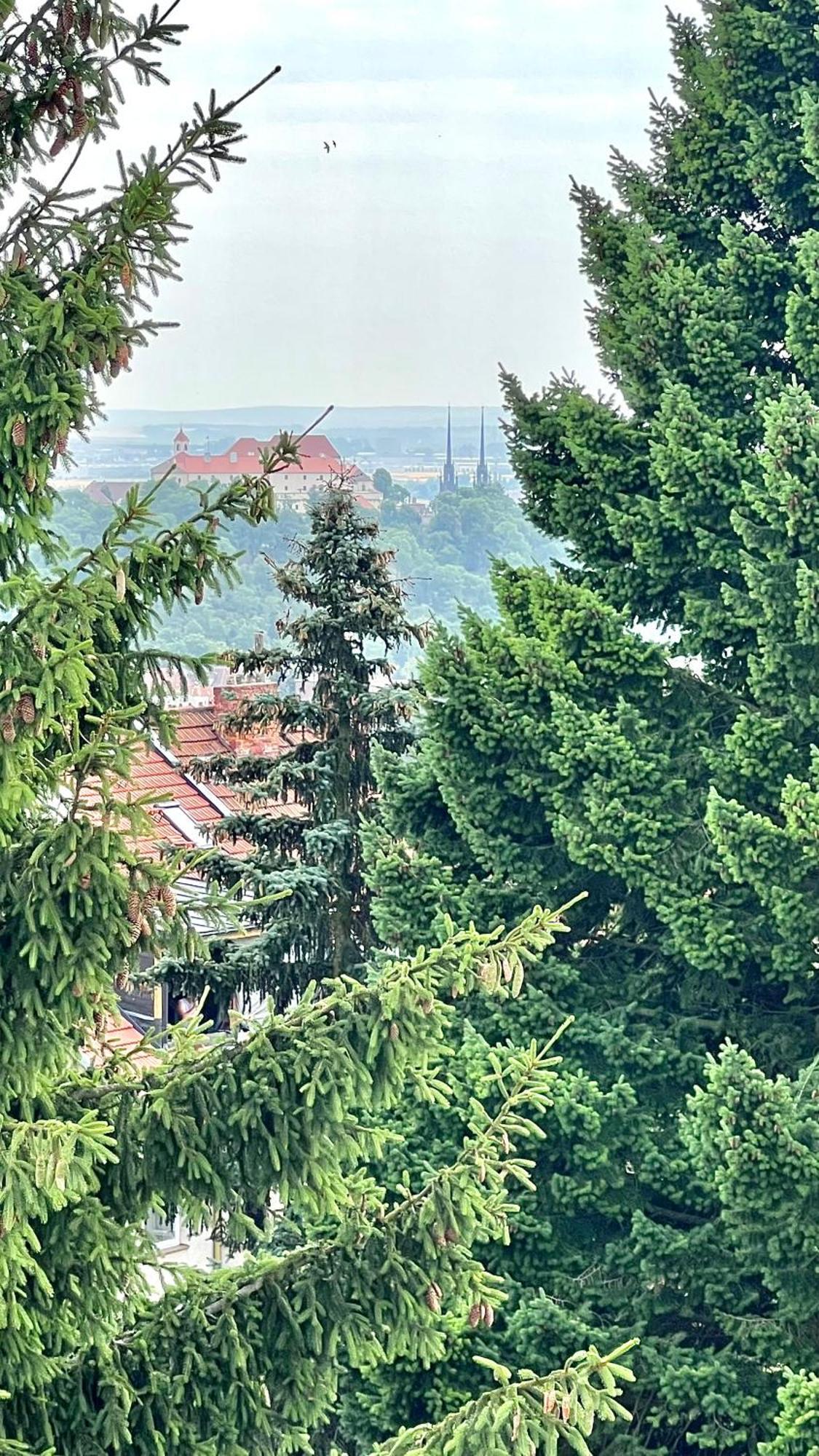 Se Saunou A Terasou S Vyhledem Na Apartment Brünn